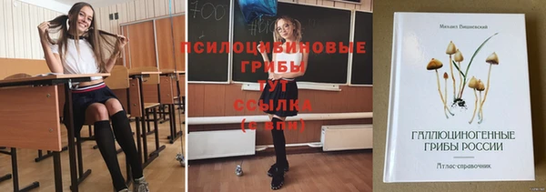 гашик Киреевск